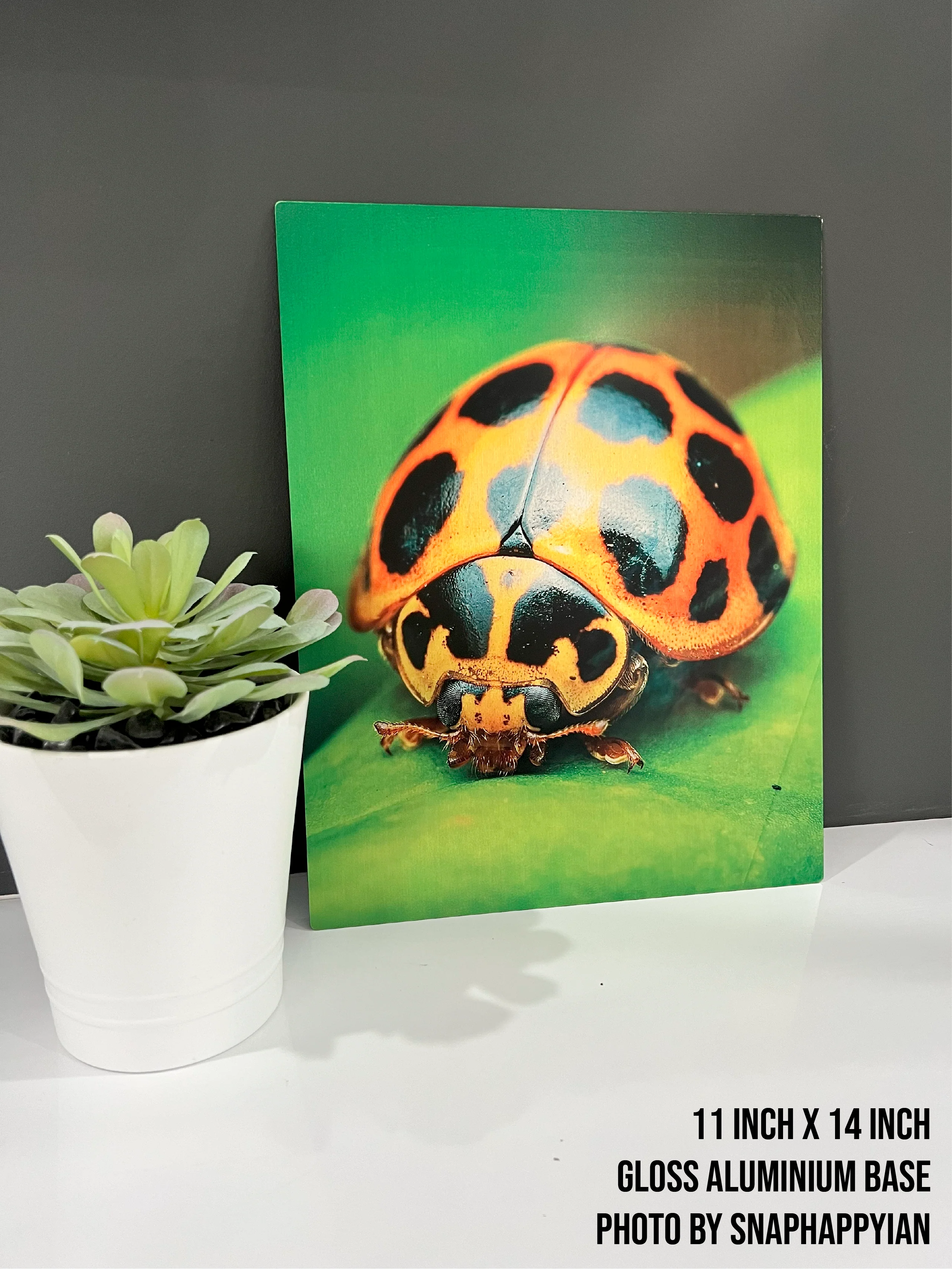 Metal Poster Printing - Image 3
