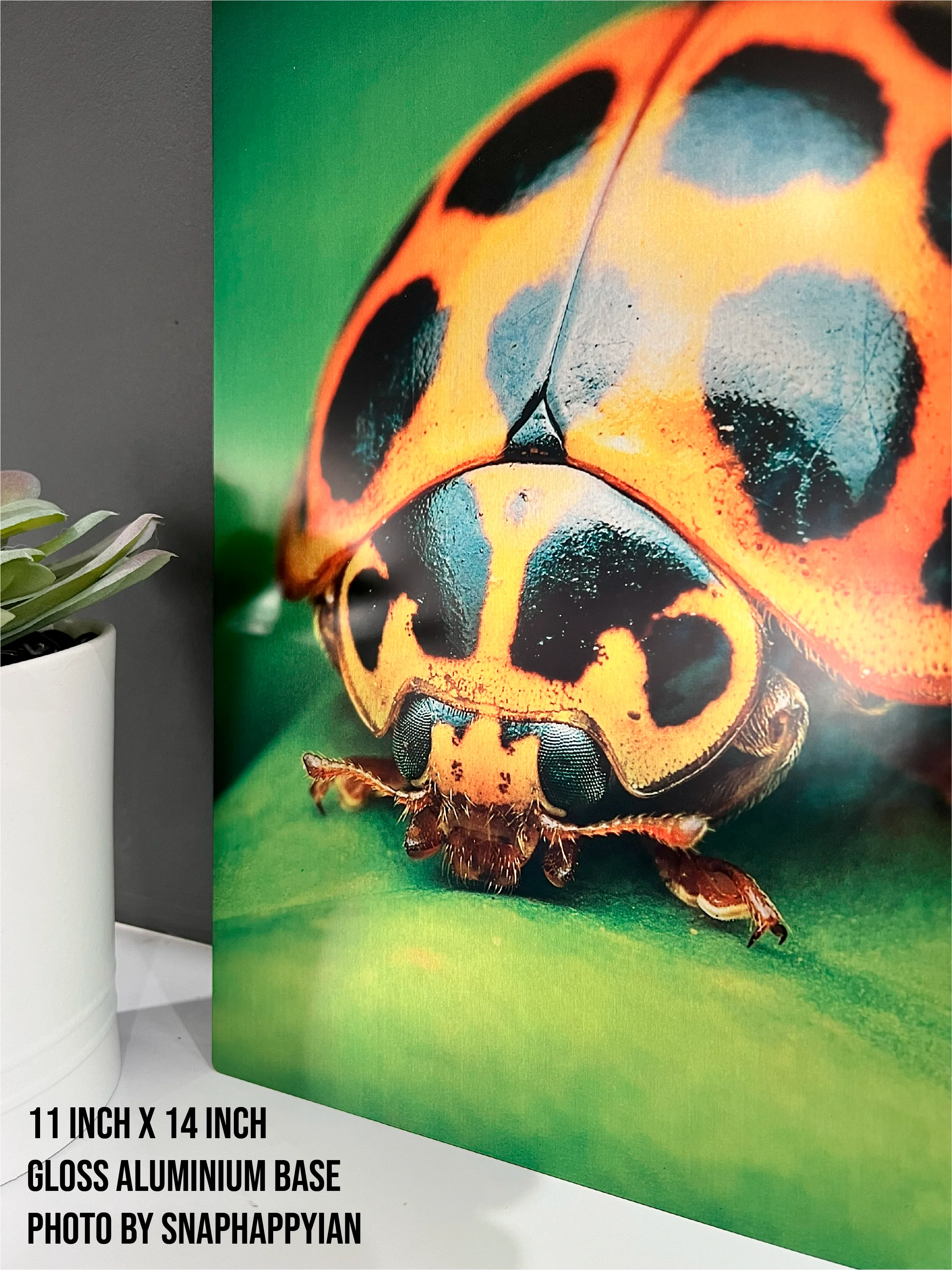 Metal Poster Printing - Image 4