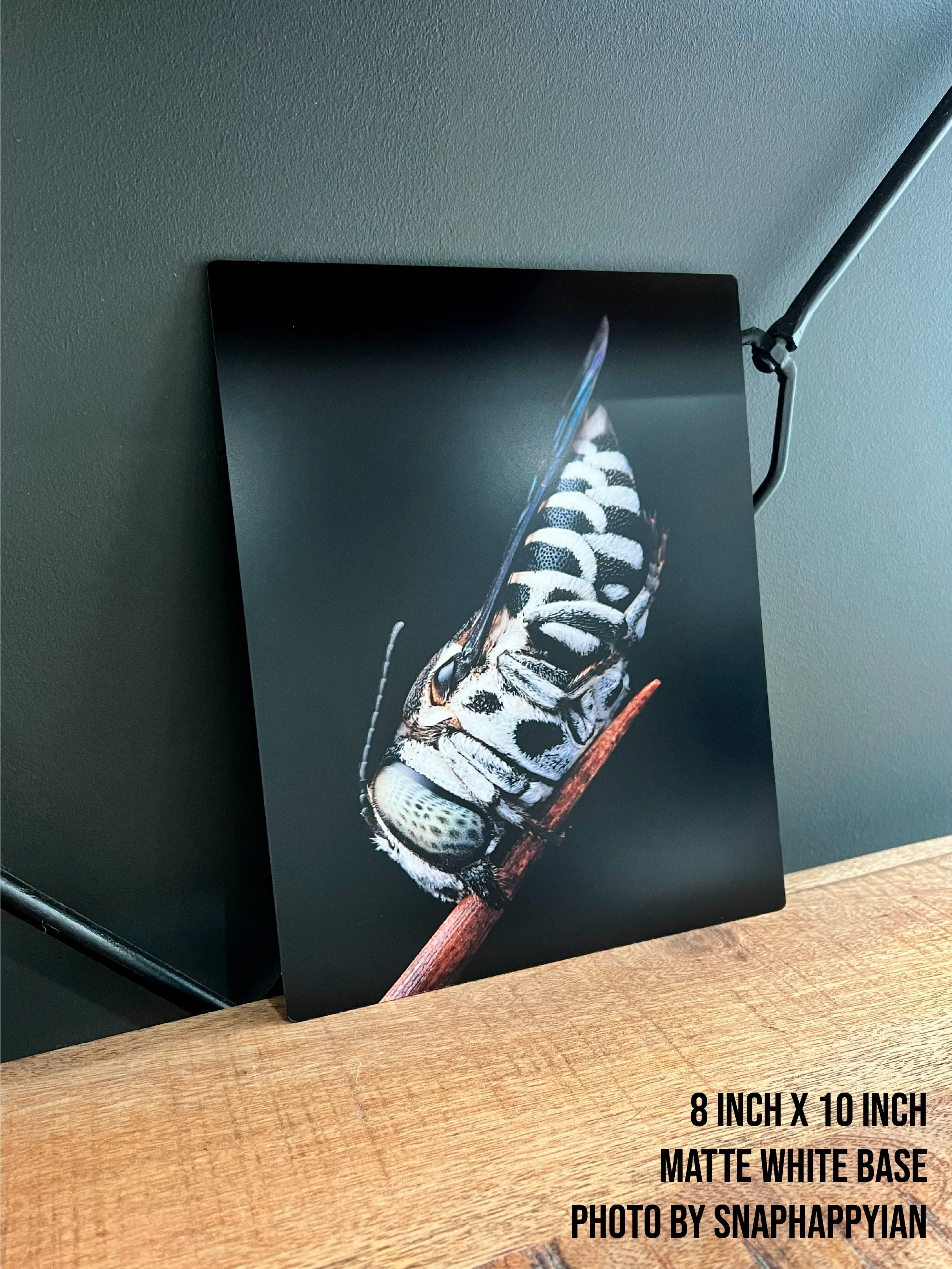 Metal Poster Printing - Image 5