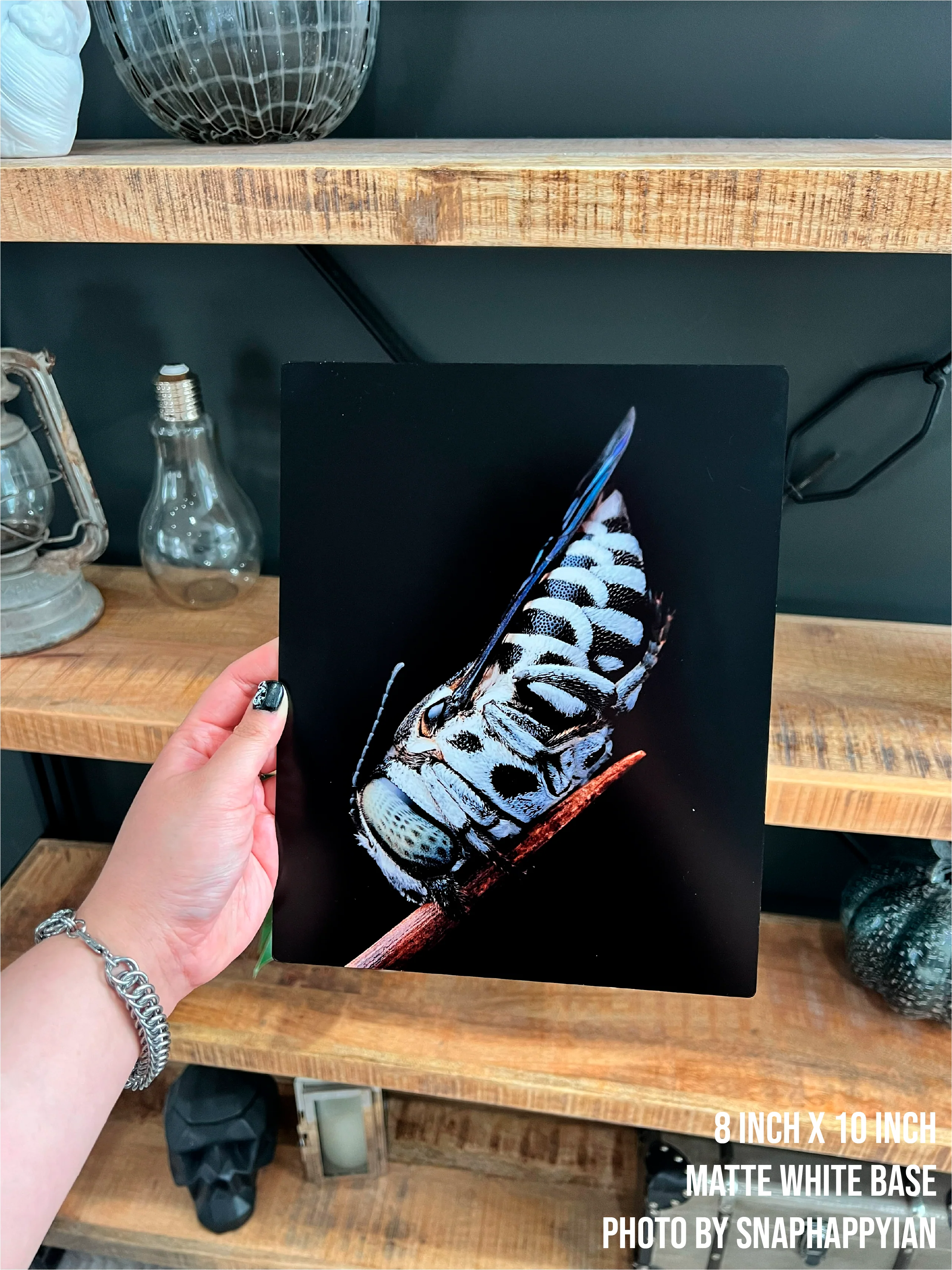 Metal Poster Printing - Image 6
